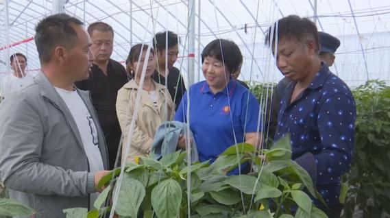 在梁庄镇牡丹街村的瓜菜种植示范区里,一场新技术,新设备使用现场会