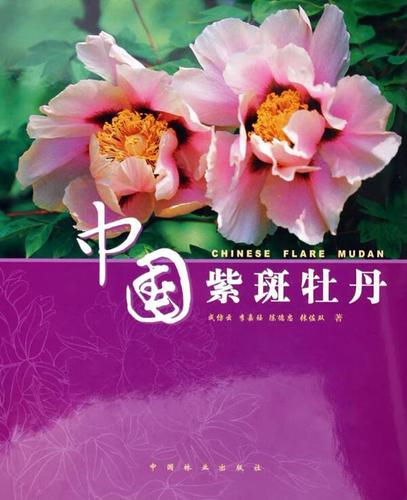 中国紫斑牡丹成仿云等农业/林业9787503839689 牡丹栽培